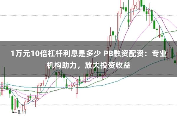 1万元10倍杠杆利息是多少 PB融资配资：专业机构助力，放大投资收益
